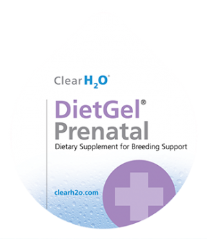 Product image for DietGel® Prenatal