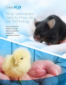 Cover of What Veterinarians Need to Know About Gel Technology