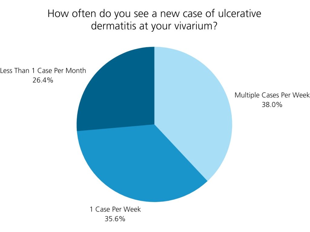 How often do you see a new case of ulcerative dermatitis at your vivarium?